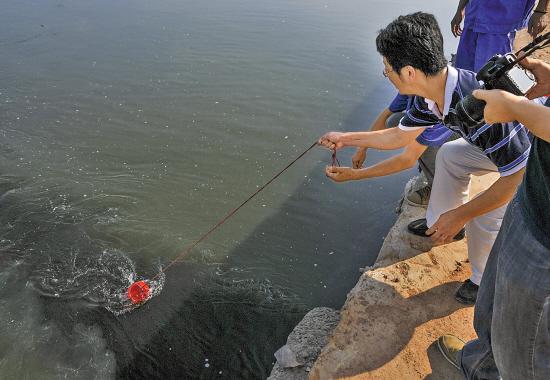 什么是水体污染？