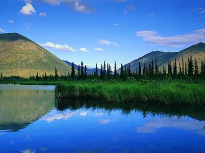 什么是水体？水体有几种类型？